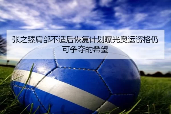 张之臻肩部不适后恢复计划曝光奥运资格仍可争夺的希望